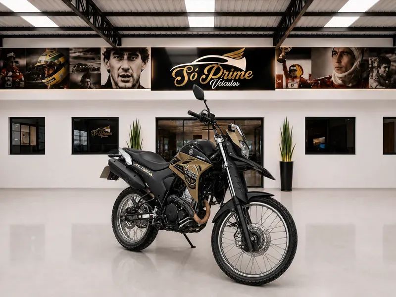 Yamaha XTZ Flex Manual