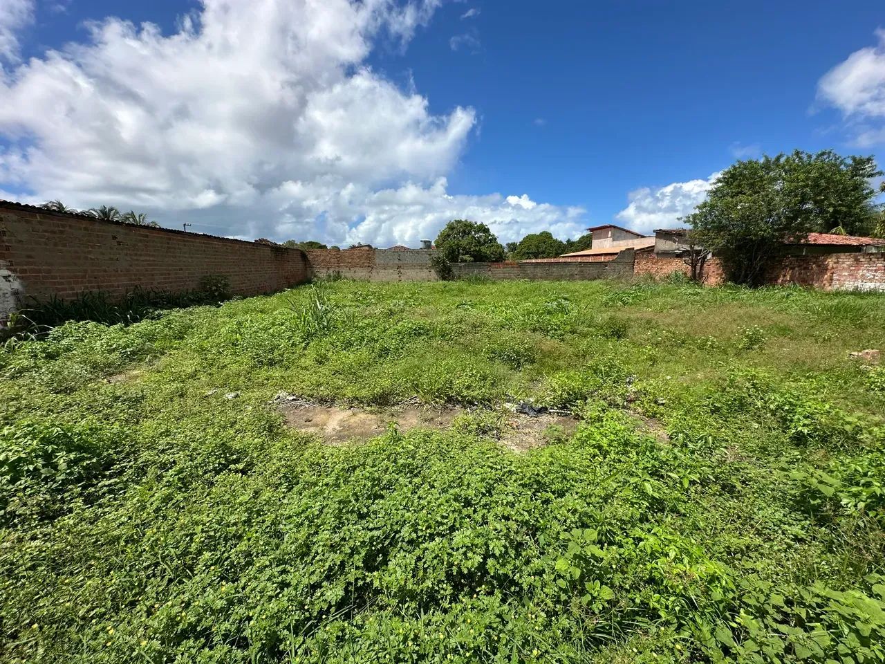 Próximo A PRAIA DO FRANCÊS Area para venda tem 960m2 - Marechal Deodoro - AL - Foto 4