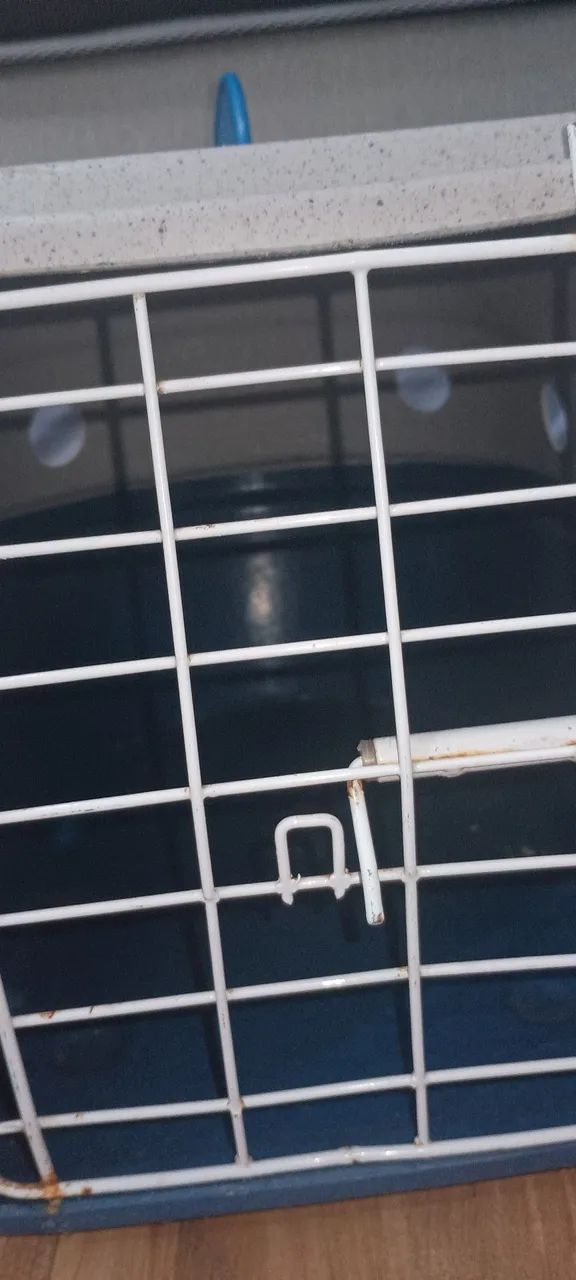 Caixa de pet - Foto 3