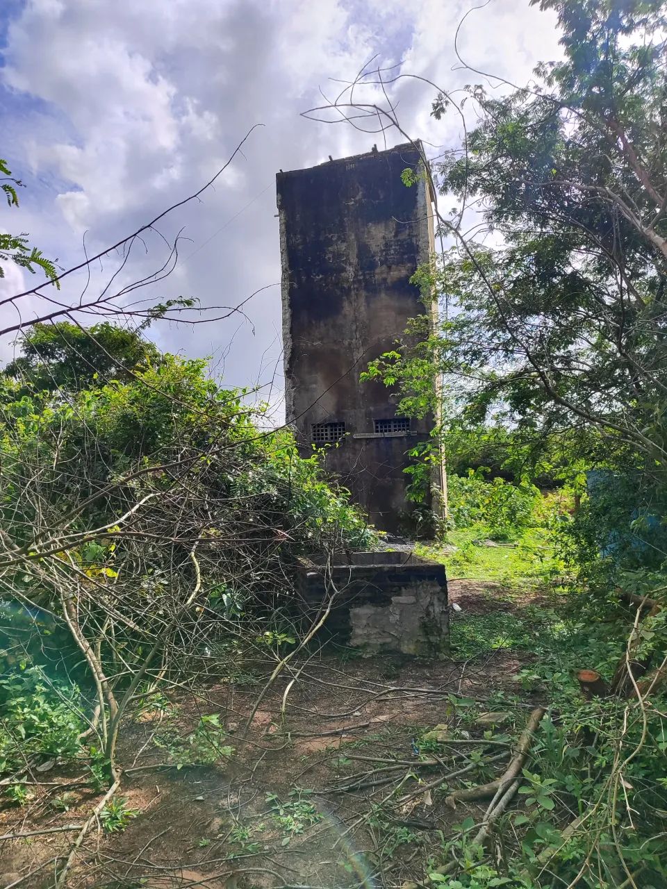 fazenda com 40 hectares em vera cruz-RN - Foto 5