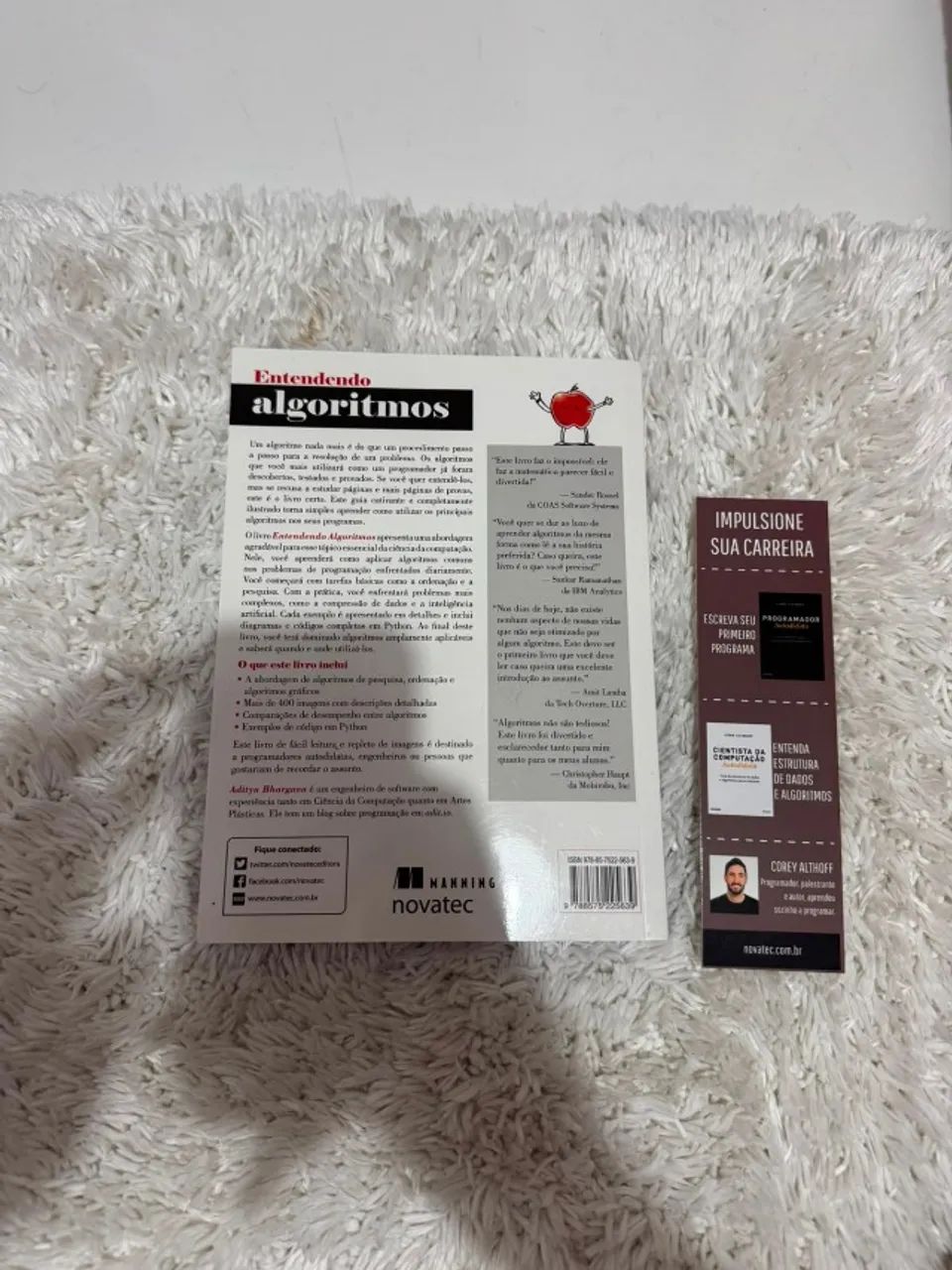 Livro Entendendo algoritmos  - Foto 3