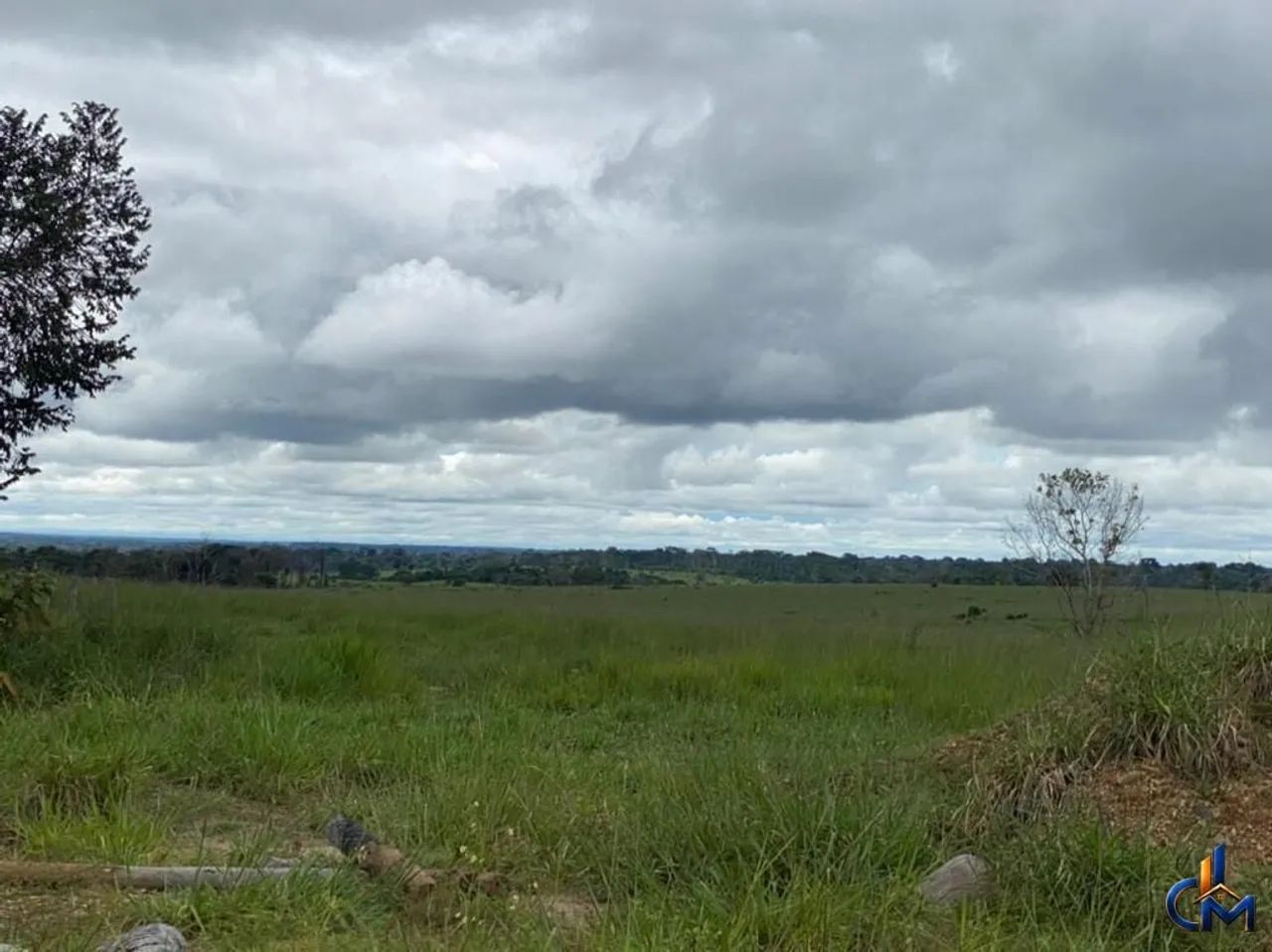 Fazenda Modelo Sena Madureira - Foto 2