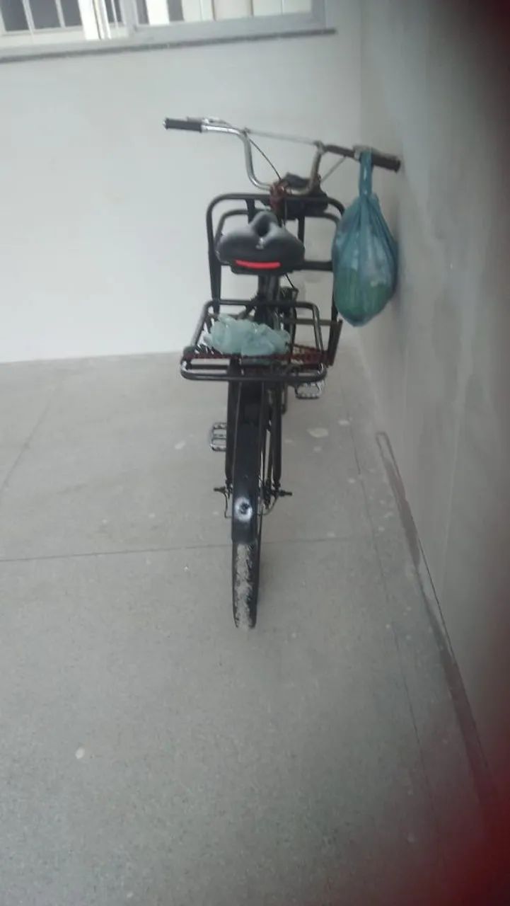 bicicleta cargueira - Foto 2
