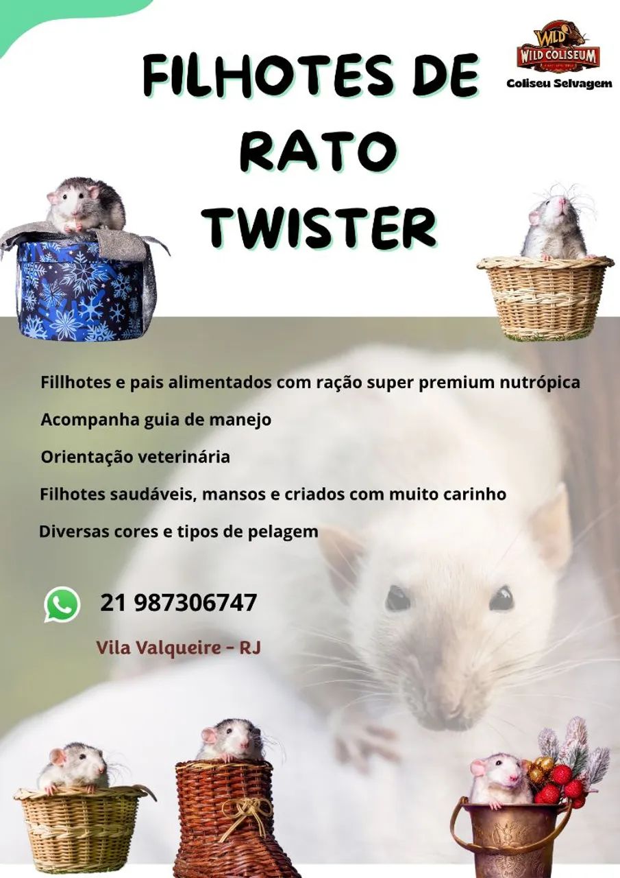 Ratos twister