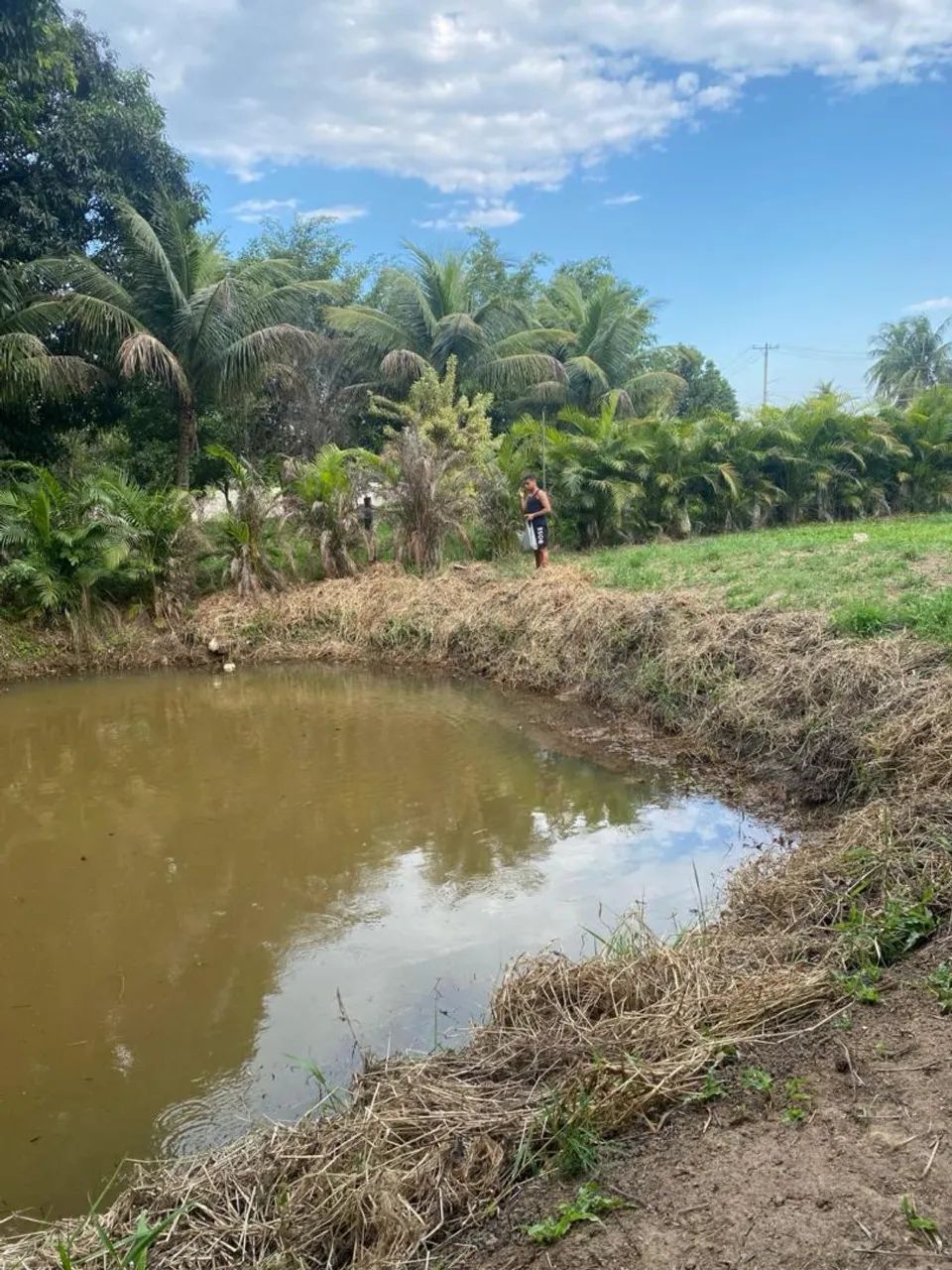 Foto - Seropédica - Campo Lindo