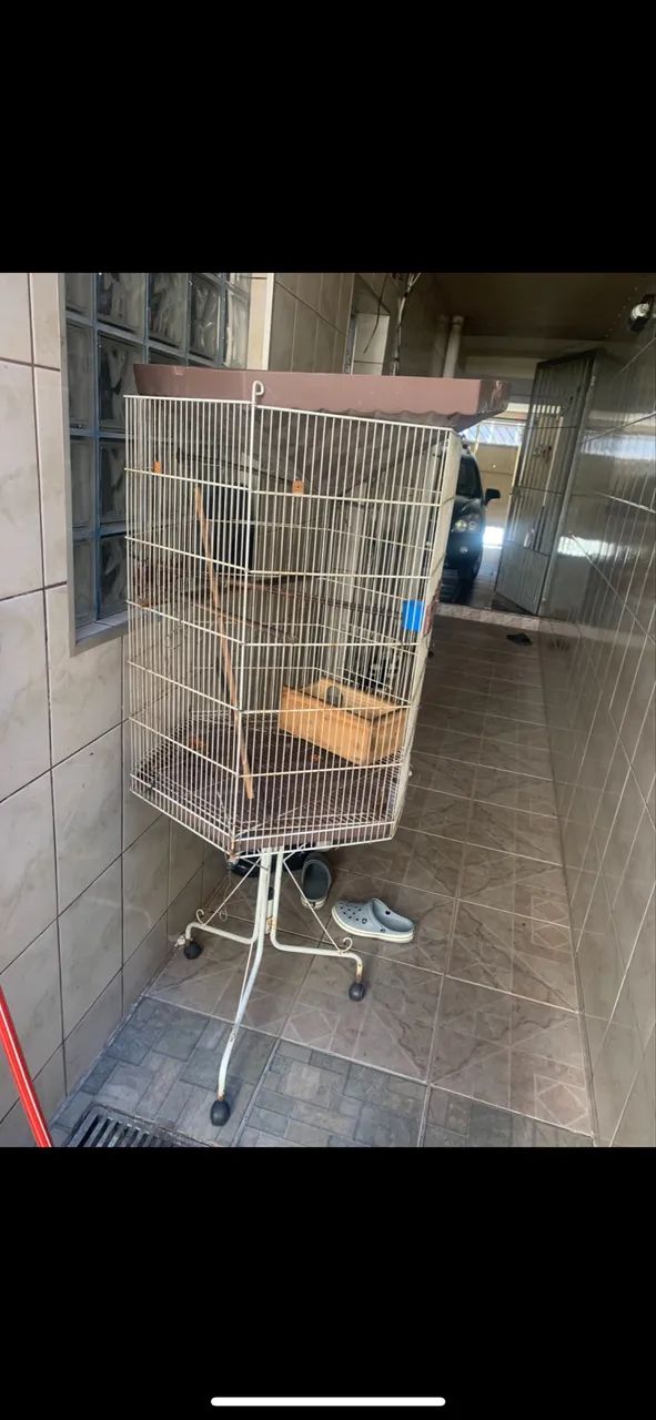 VIVEIRO PARA MACACOS , PÁSSAROS ETC ? - Foto 3