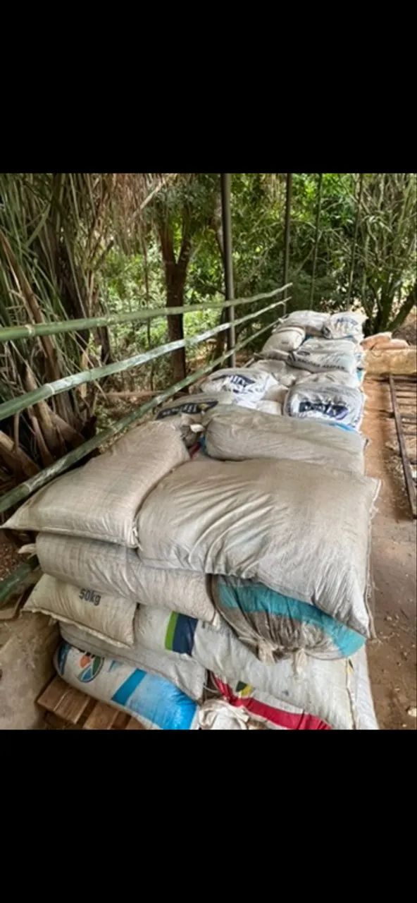 ADUBO DE GADO PURO E SECO - Foto 3