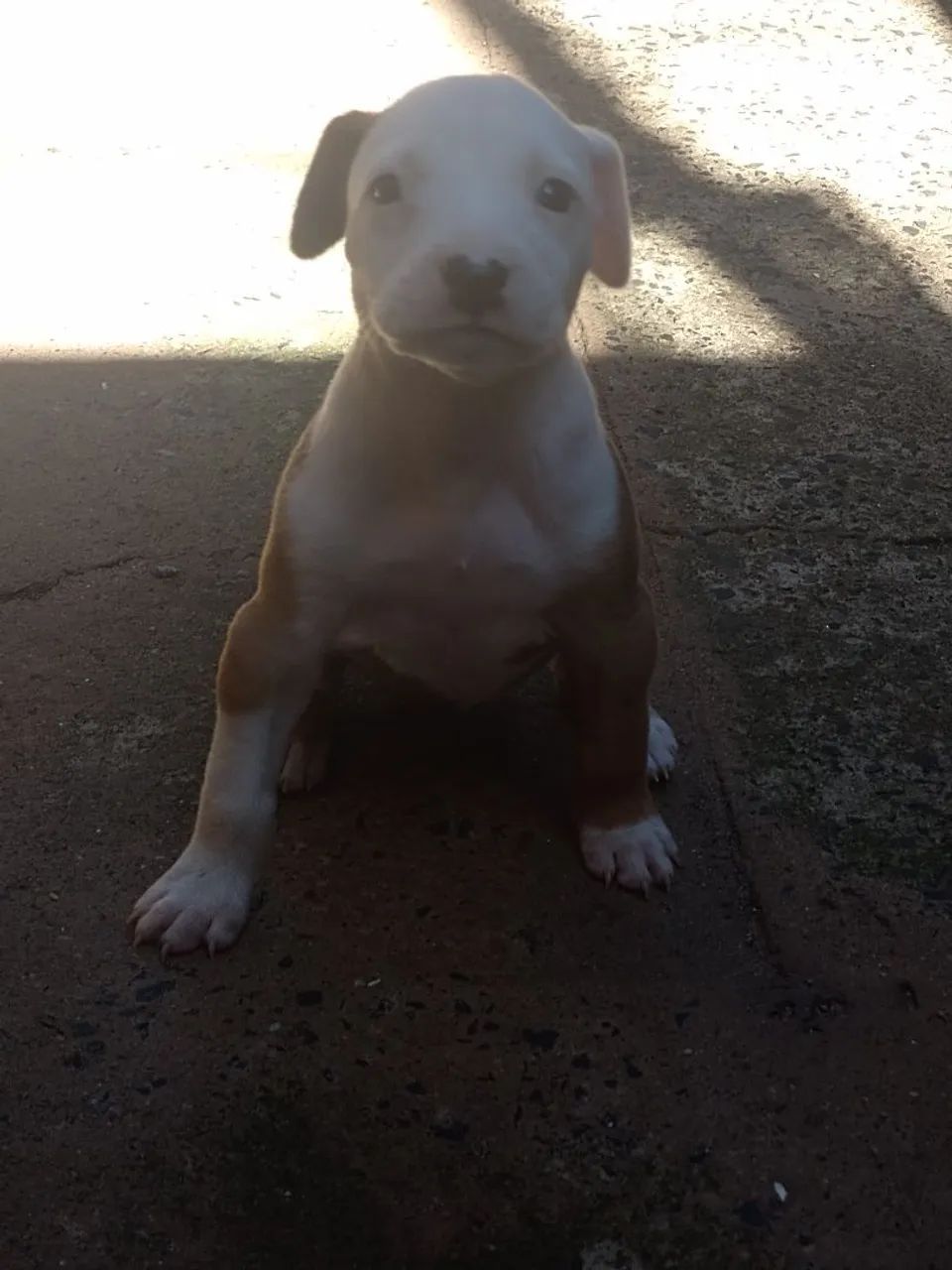Vendo - Foto 3