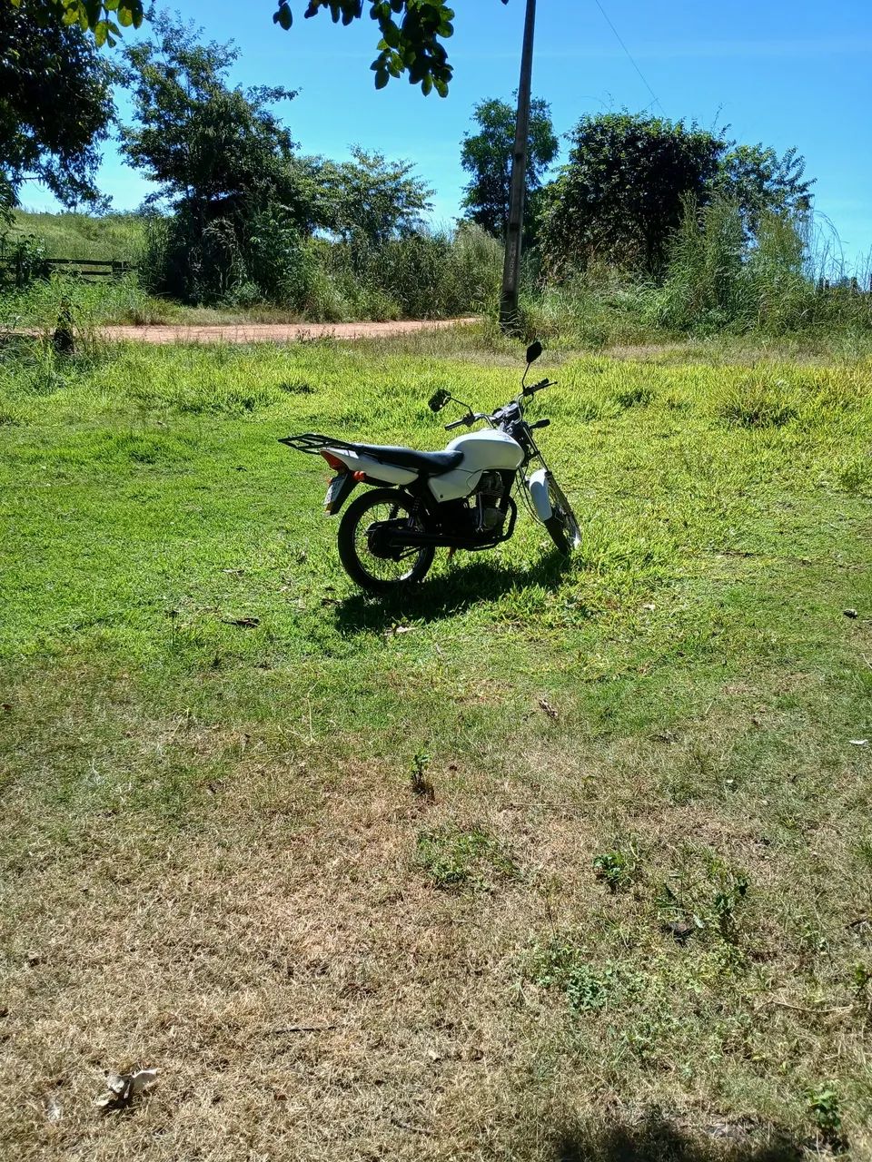 Fazendinha apropriada para criação, cavalo elite, gado, peixe - Foto 2