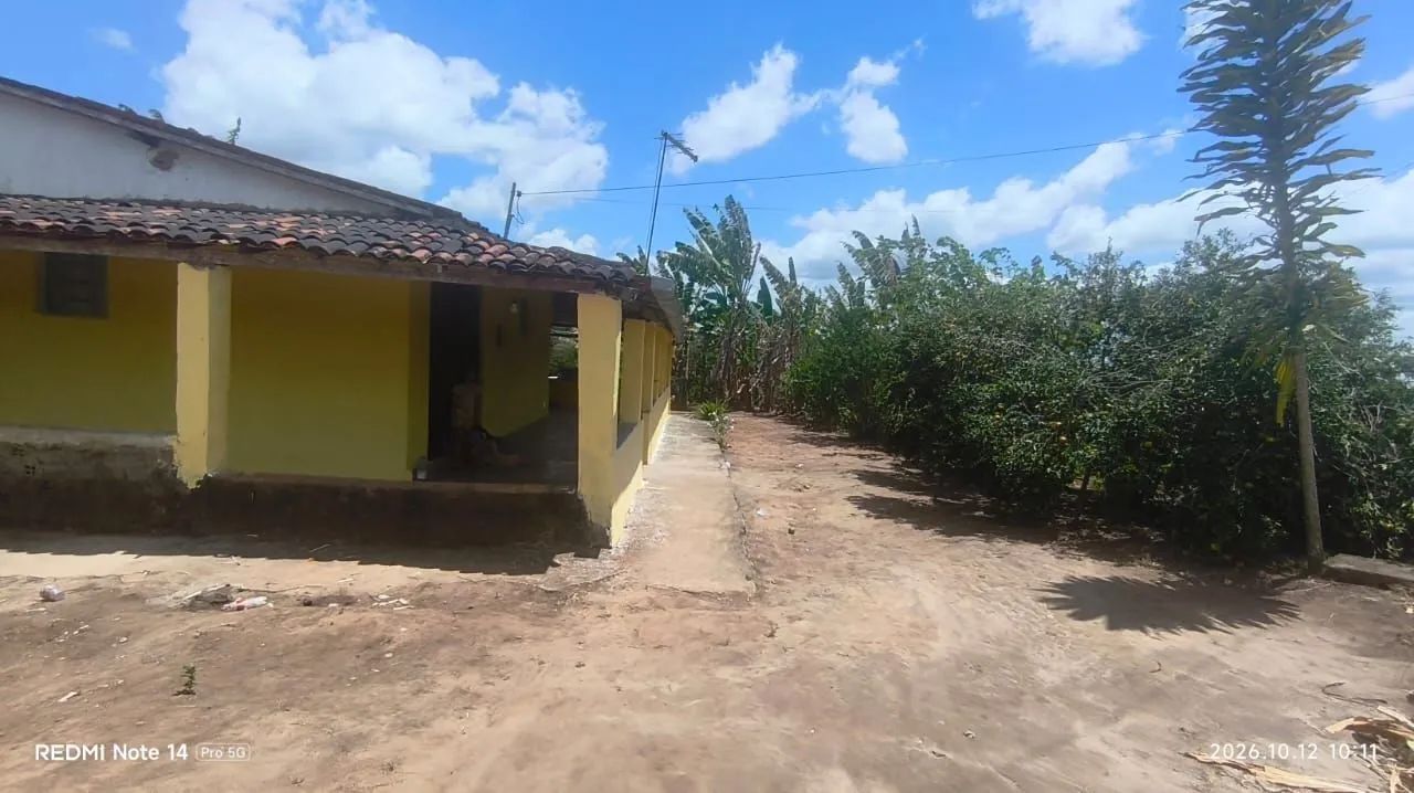 SÍTIO À VENDA EM MATINHAS - PB! ? - Foto 3