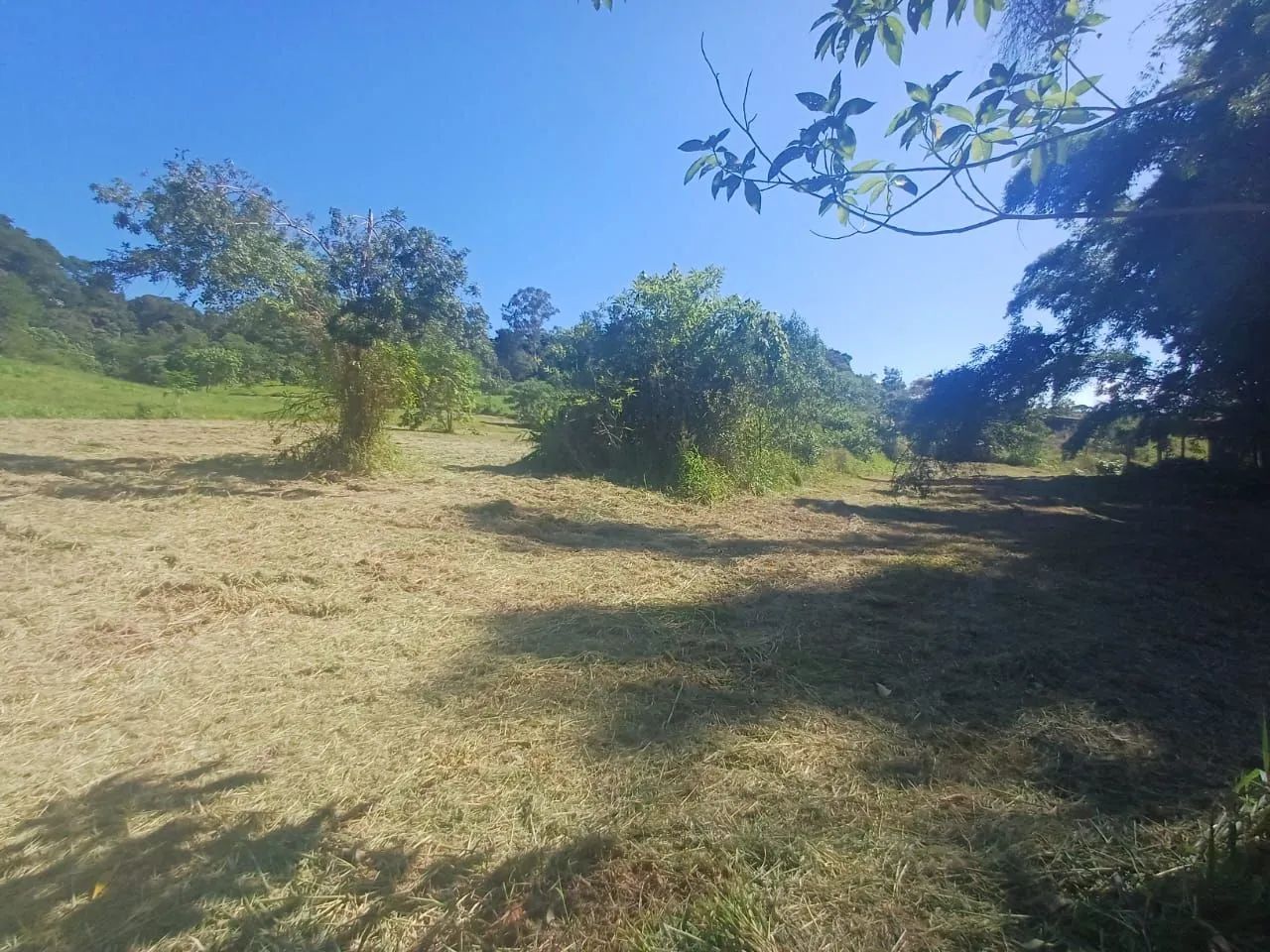 Sítio em Vila Moraes com 33 mil m2  - Foto 3