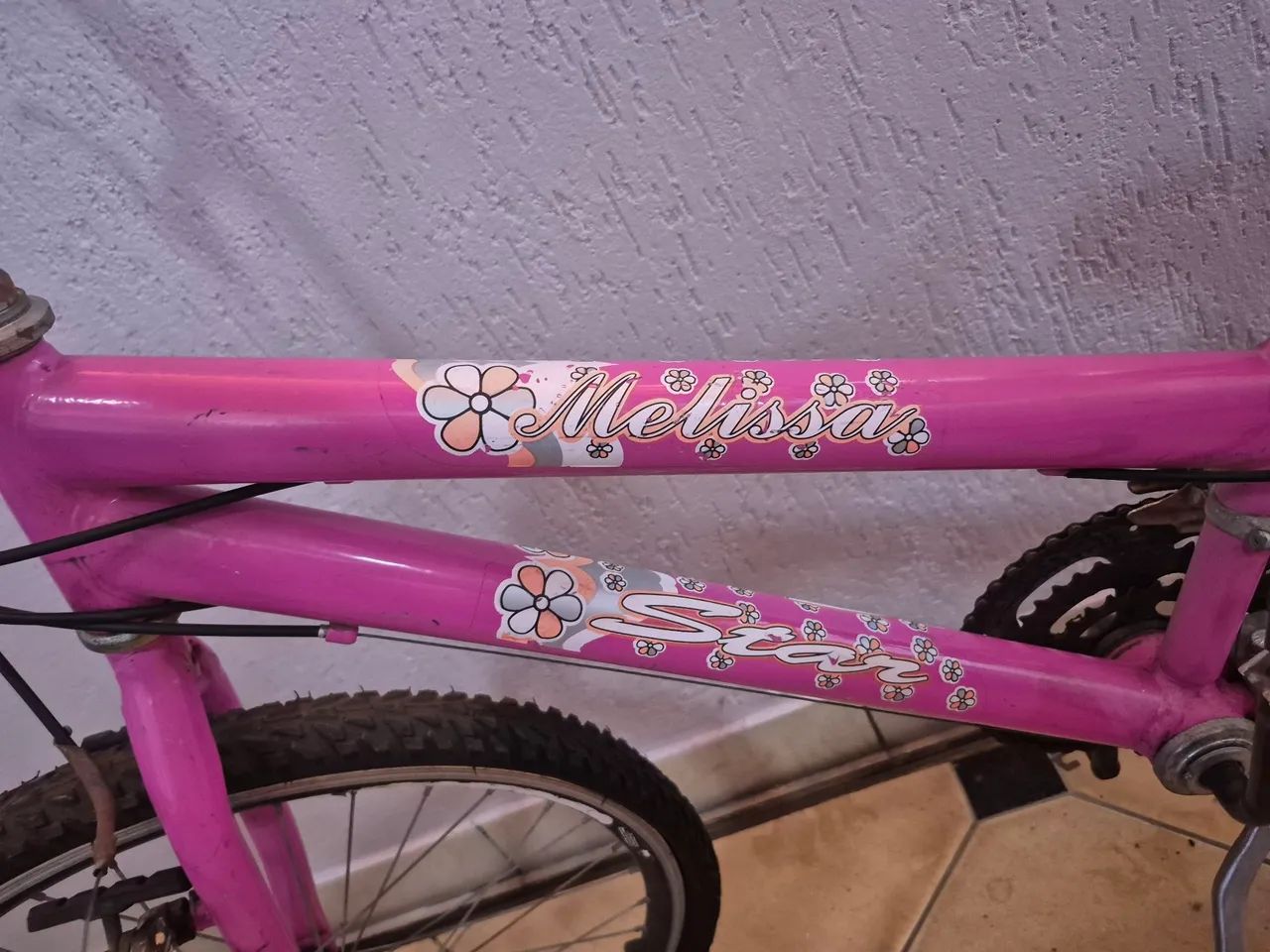 Vendo bicicleta melissa aro 24 - Foto 4