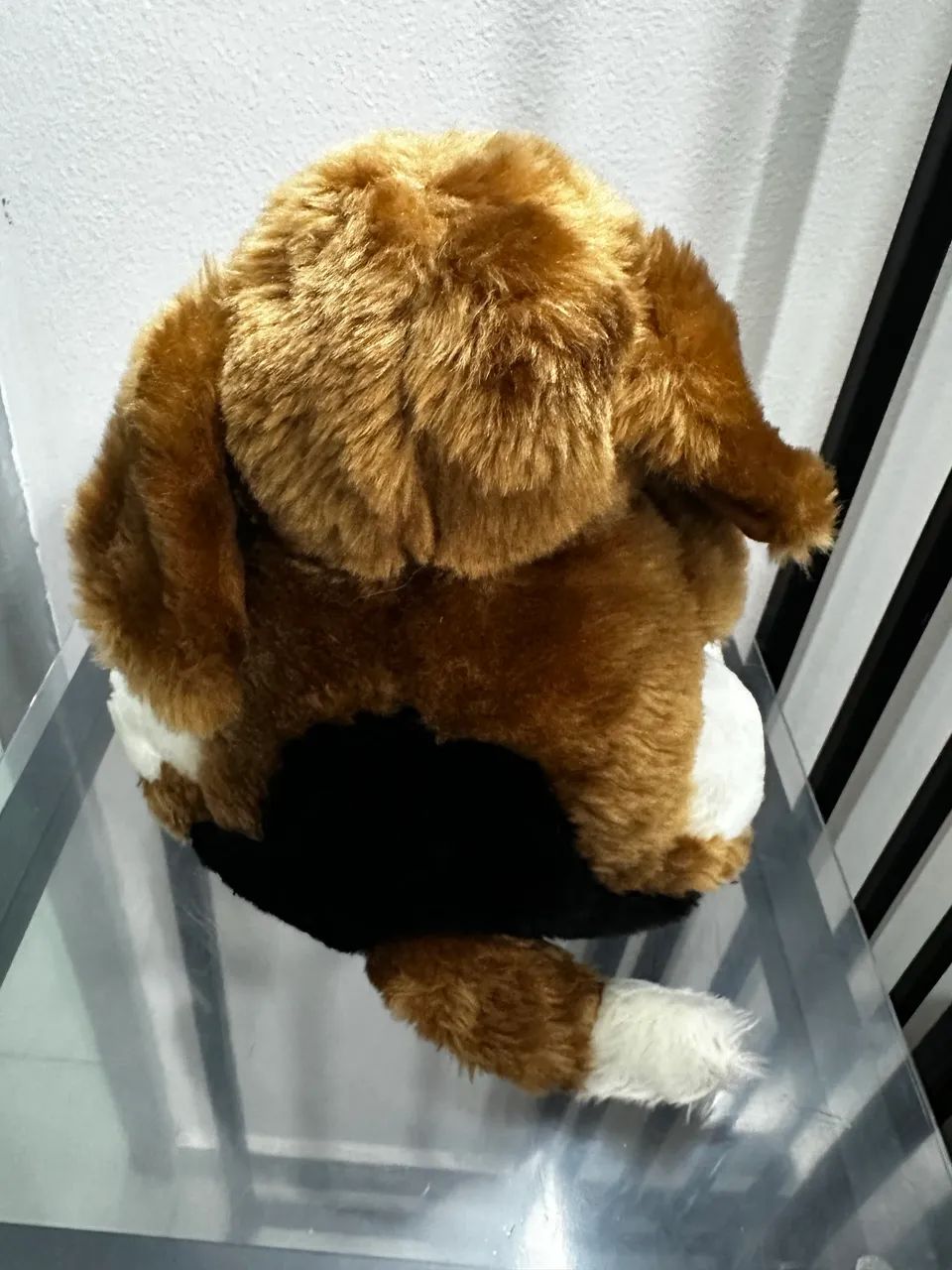 Cachorro da Parmalat  - Foto 2