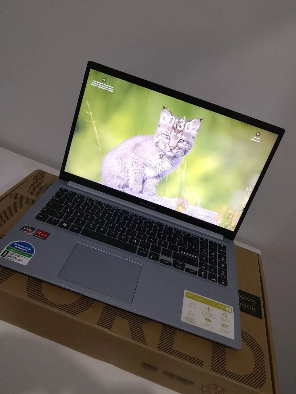 ASUS VIVOOK RYZEN 5
