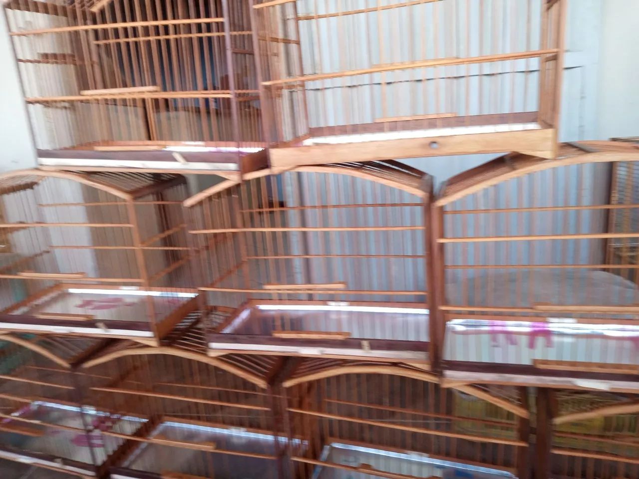 Gaiola pássaro grande  - Foto 3