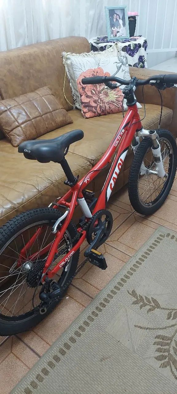BICICLETA CALOI  - Foto 5