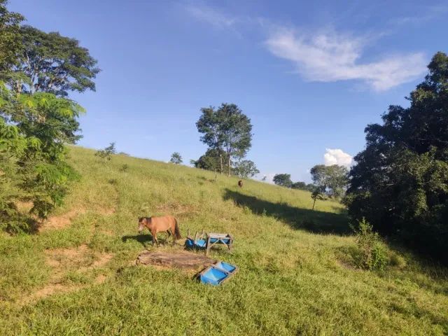 FAZENDA EM ITAPURANGA  - Foto 2