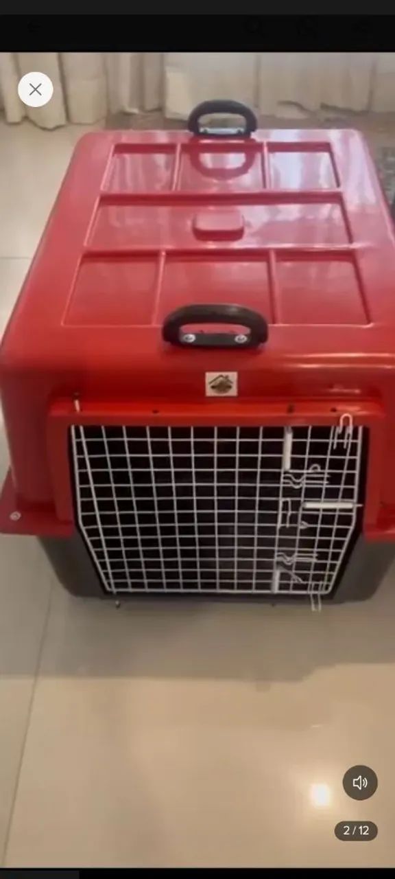 Caixa Transportadora  - Foto 2