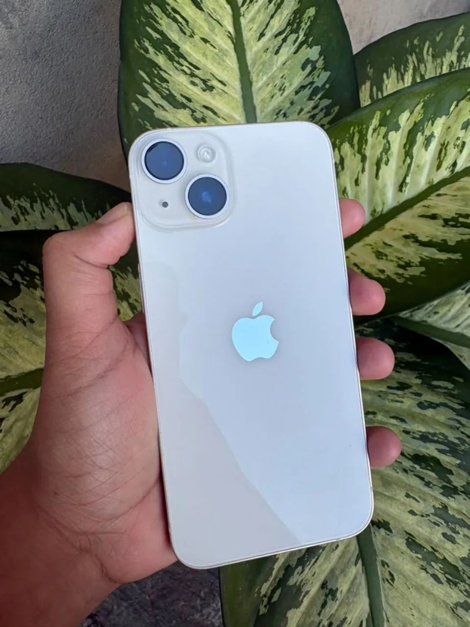 iPhone 14plus