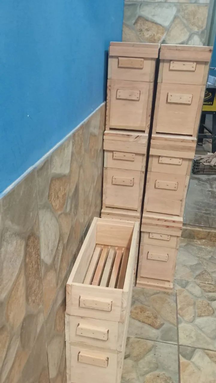Caixa de abelha completa  - Foto 5