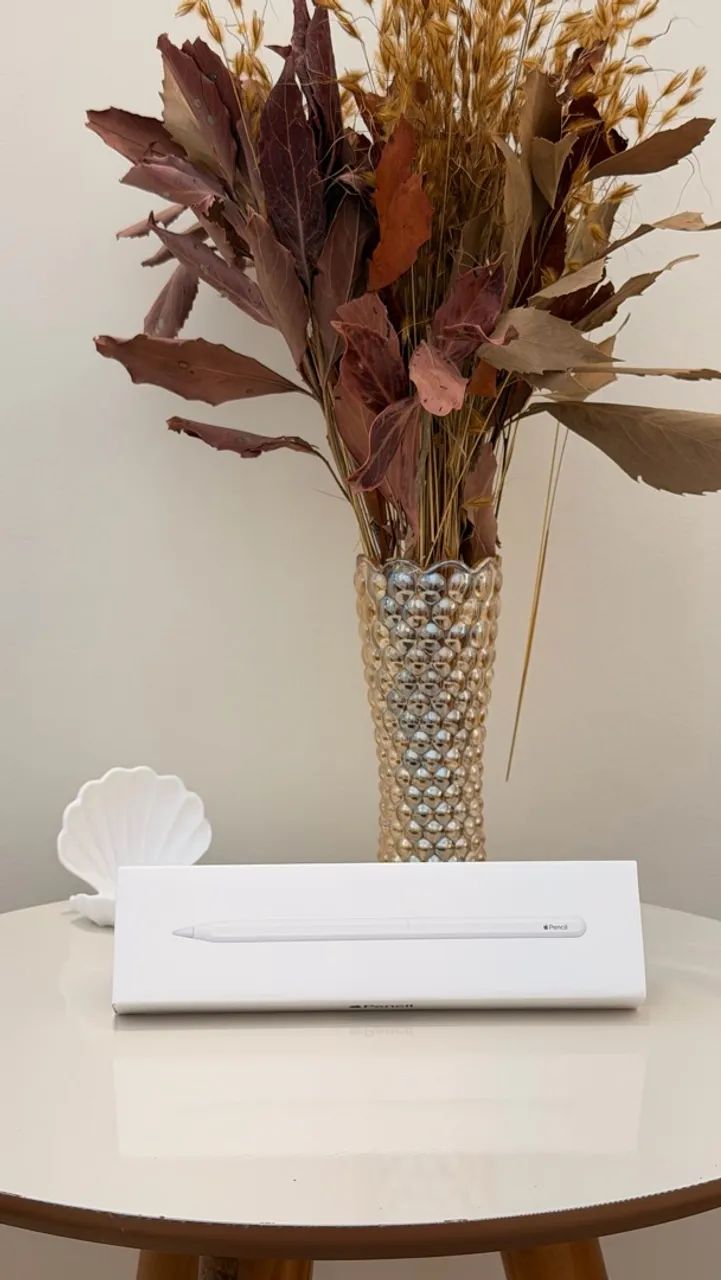 Apple Pencil 2º geração NOVA