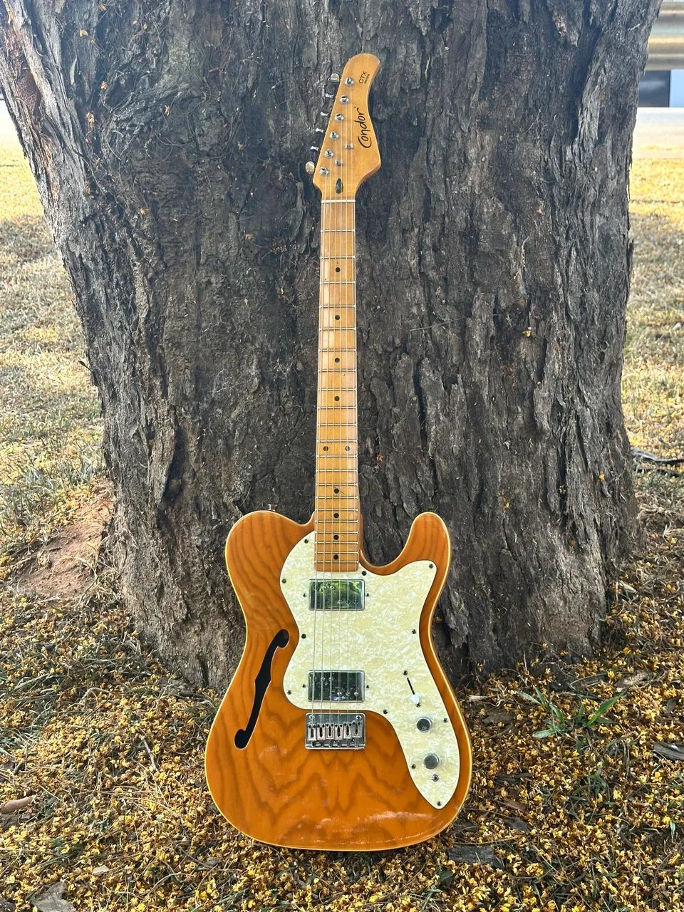 Guitarra Telecaster Thinline  - Foto 3