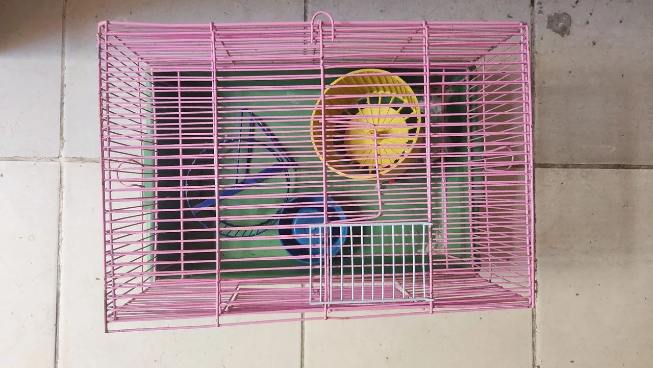 Gaiola para hamster ?  - Foto 2