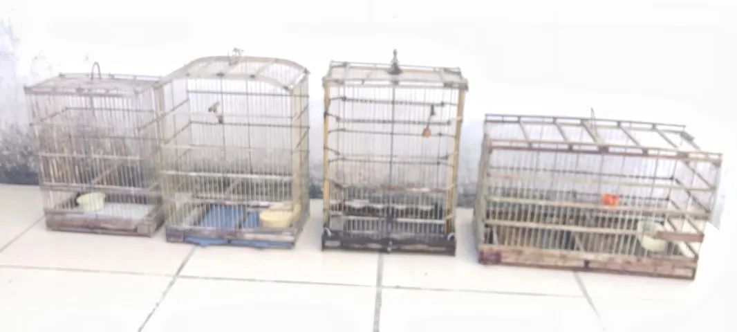 4 gaiolas em bom estado 