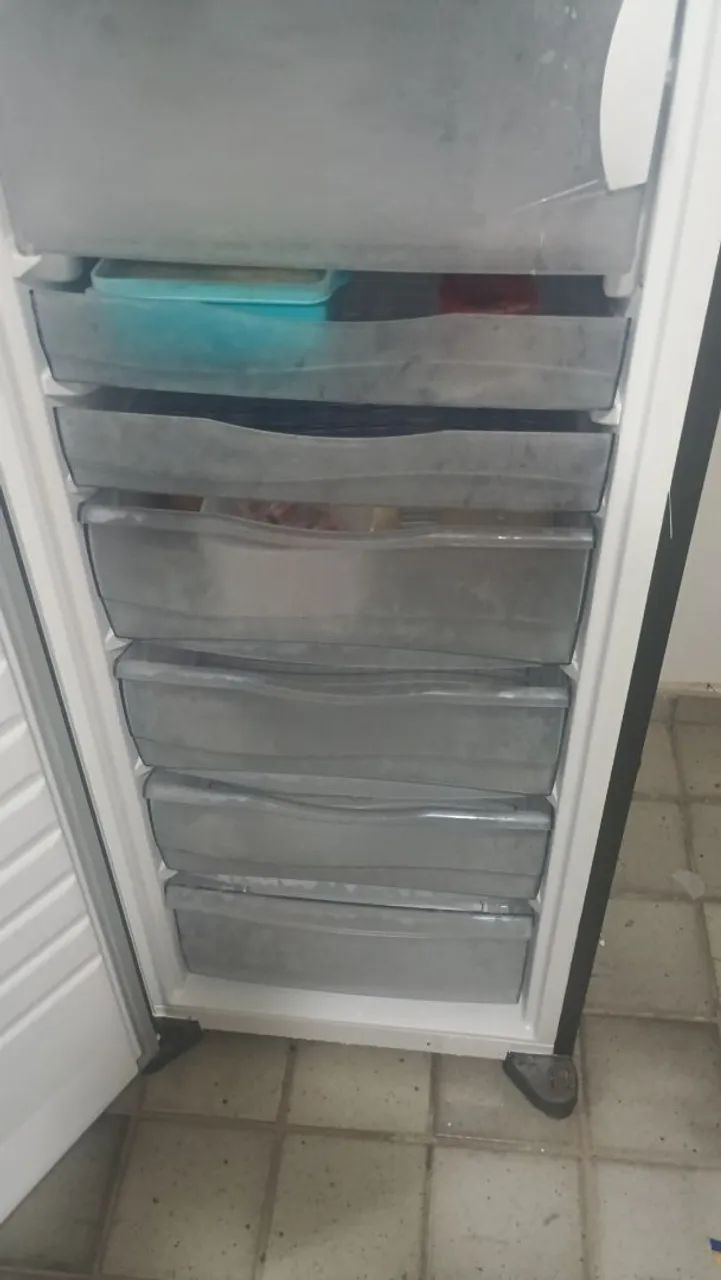 Freezer Frost Free 276L - Foto 2