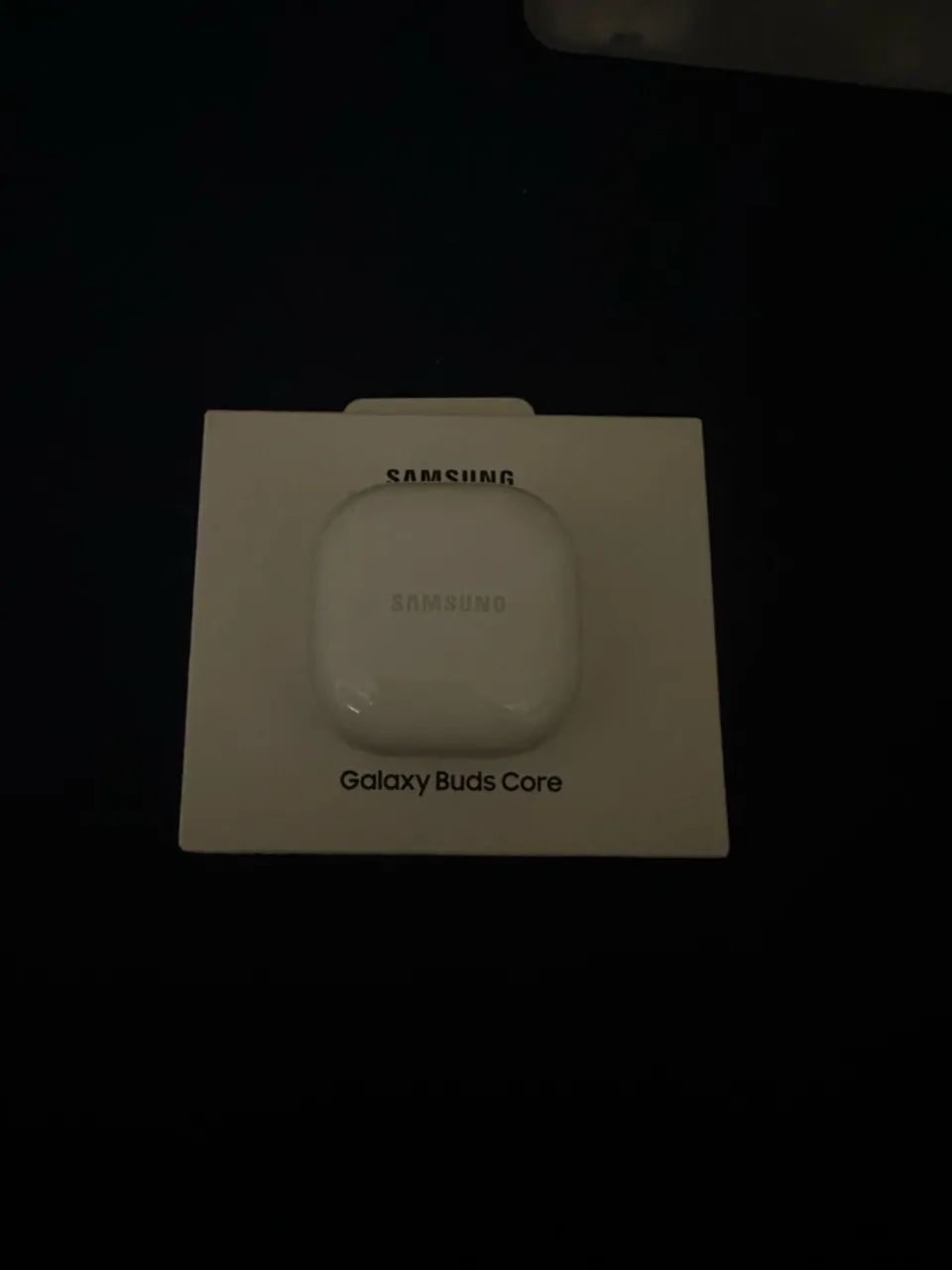 Galaxy Buds Core 
