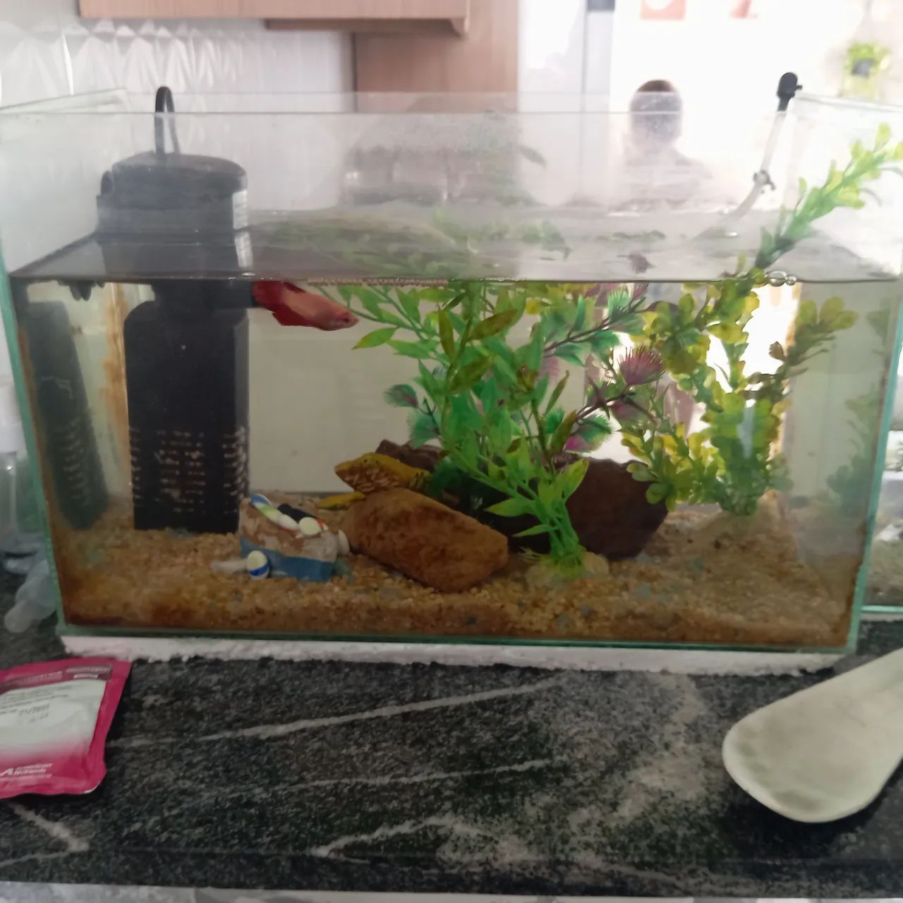 Aquario