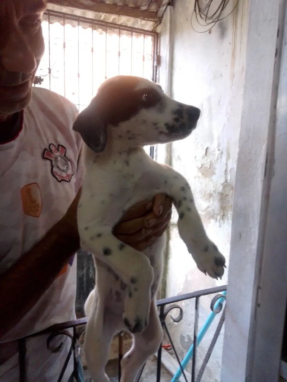 Doação  - Foto 2