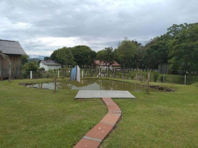 Mini Sitio dos sonhos - Foto 8