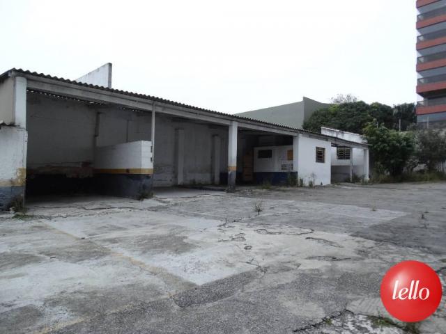 Terreno para alugar em Santa paula, São caetano do sul cod:186432 - Foto 2