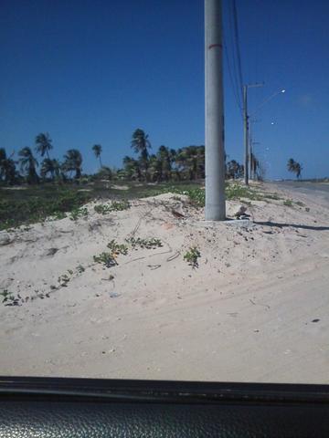 Terreno - Foto 4