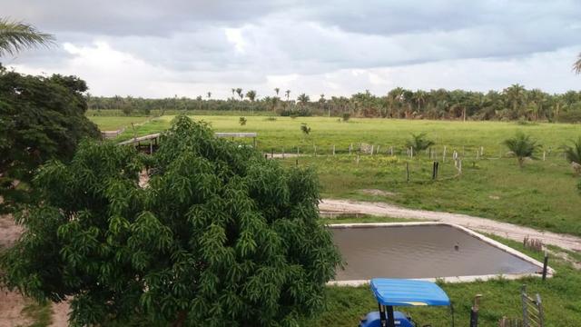 Fazenda montada em Itapecuru-Ma, 200 hectares,margeada pelo Rio Itapecuru!