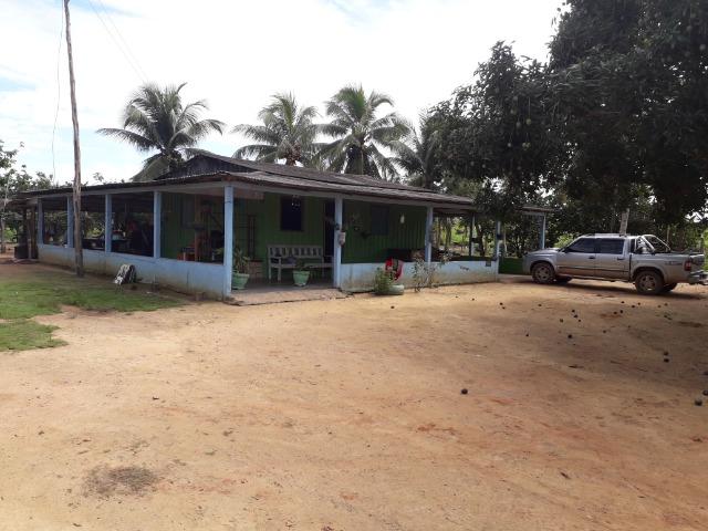 Imperdível fazenda em Roraima Caroebe - Foto 6