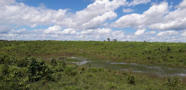 Fazenda em Roraima top - Foto 2