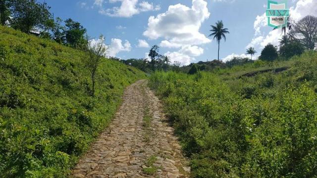 Ubaitaba. Fazenda de 450 Hectares, produção de cacau e gado, completa infraestrutura. - Foto 16