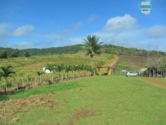 Fazenda Itamaraty com 300 Hectares, potencial para 300 gados, 70 hectares de cacau - Foto 6