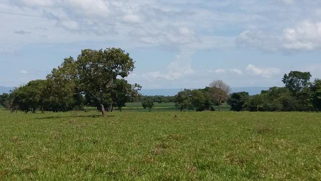 Fazenda Completa Para Gado, Formosa-Go (Oportunidade) - Foto 6