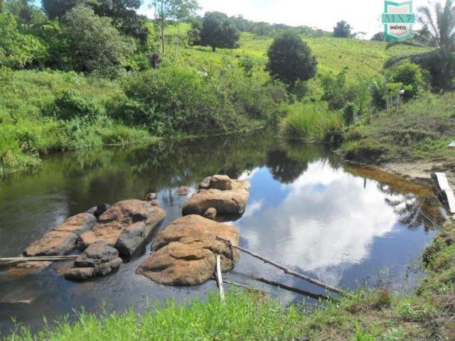 Fazenda Itamaraty com 300 Hectares, potencial para 300 gados, 70 hectares de cacau - Foto 13