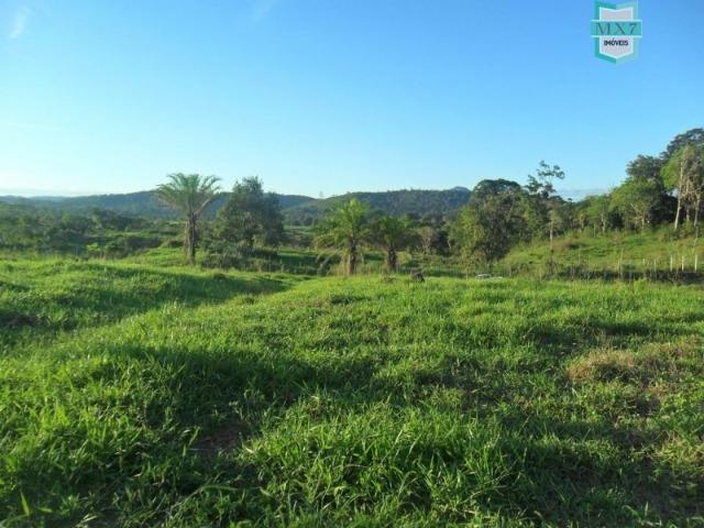 Fazenda em Ubaitaba de 430 Hectares, para gado e cacau. Próximo a Gongogi - Foto 19