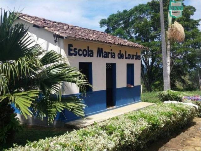 Aiquara . Ótima fazenda produtora de cacau - Foto 14