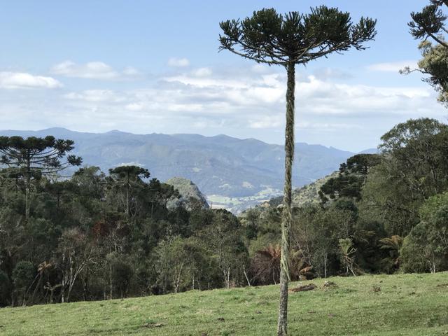 Chacara Urubici