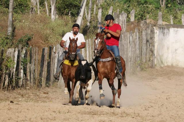 Cavalo de direita, baixei prá vender - Foto 5