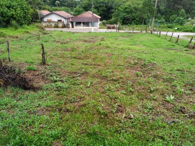 Vendo Terreno - Foto 12