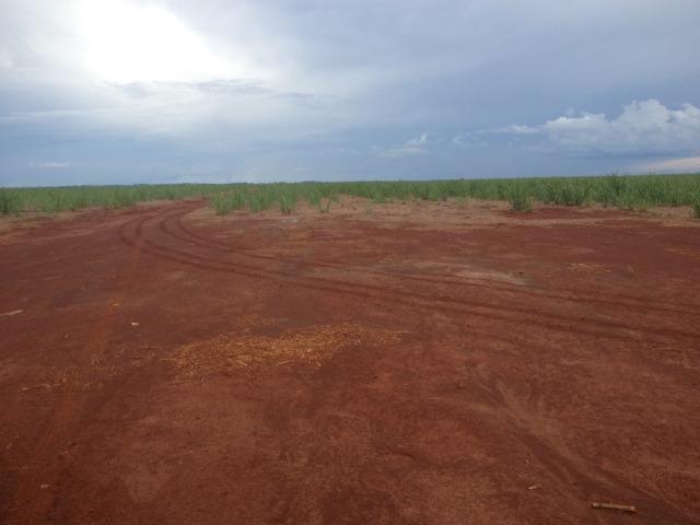 Fazenda 3.533 há - Foto 6