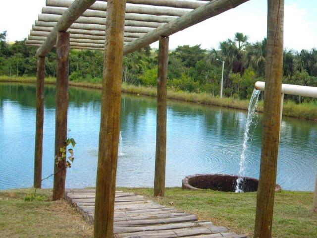 Fazenda de 12,68 alqueires maravilhosa em bela vista de goias - Foto 6
