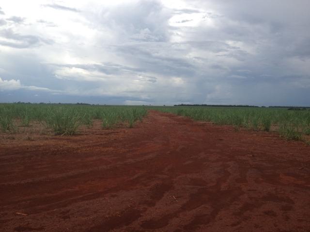 Fazenda 3.533 há - Foto 11